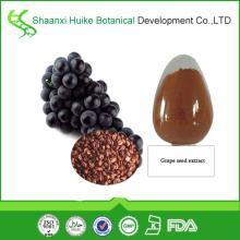 Factory Bulk Supply High Quality Natural Grape Seed Extract