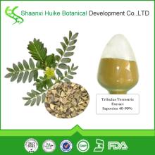 100% Natural  Tribulus  Terrestris Extract