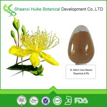 Top Quality 100% Pure Natural St John's wort Extract