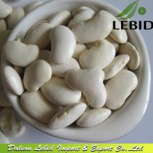 White Kidney  Beans ,  Butter   Beans 