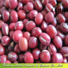 New Crop Adzuki Beans