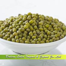 New Crop Green Mung Beans