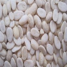 Chinese Peeled Black Kidney Beans ,Hulled split black kidney beans