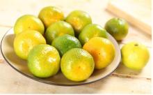Grapefruit extract 90%Naringin