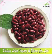 High Quality New Crop Dry Dark Red Kidney Beans