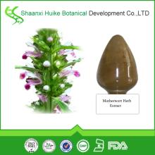 High Quality 100% Natural Motherwort Extract