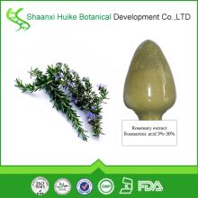 100% Natural Rosemary  Extract  with  Rosmarinic   acid 