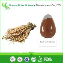 Bulk Supply Top Quality 100% Natural Radix isatidis Extract