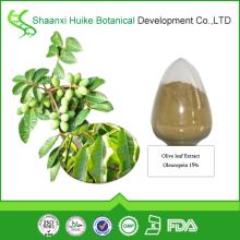 100% Natural Olive Leaf  Extract  for  Oleuropein  and Hydroxytyrosol