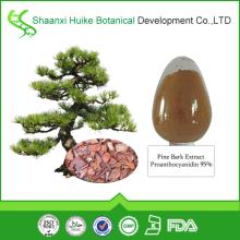 100%  Natural   Pine   Bark  Extract Powder with Proanthocyanidin 95%