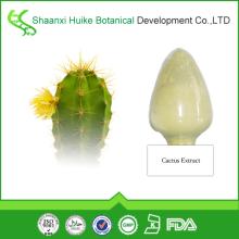 Top Quality 100% Natural  Cactus  P.E 10:1