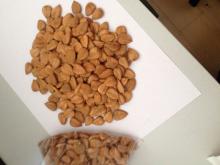 Bitter Apricot Kernels Bitter/Sweet