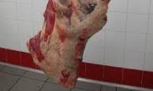 Frozen Beef Meat, topside, striploin, knuckle, shin shank, cube roll, tenderloin, eye round