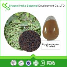 pure natural 98%  Oleanolic  acid powder manufacturer