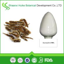 natural high quality  Kaempferol  powder
