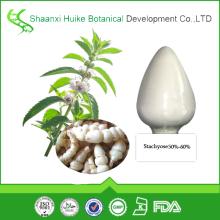 natural Stachyose powder