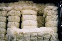 Sisal Fiber