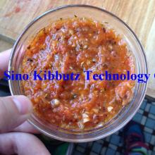 good taste tomato paste made in Xinjing low price tomato paste