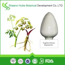5Top Quality 100% Natural Angelica P.E. Ligustilide 1