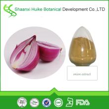 Bulk Supply Best Quality 100% Natural  Onion   Extract 
