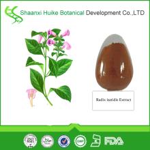 High Quality 100% Natural  Radix  isatidis Extract