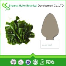 best quality 100% natural seaweed extract fucoidan powder