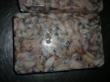  frozen   baby   squid  loligo japonica