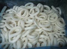 frozen  illex   squid  ring chemical treated
