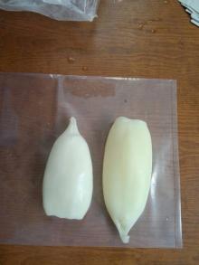 frozen illex squid tube, todarodes pacifics
