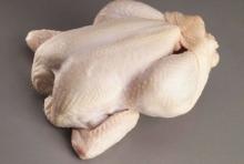  HALAL  Frozen Whole  Chicken   Broiler s for Sale