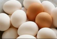  Farm   Fresh   Chicken  Brown & White Table  Eggs  for Sale