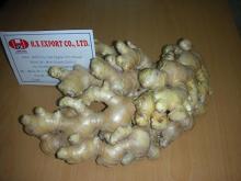 Fresh Ginger