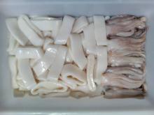 squid  ring s and  tentacle s