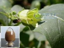 Natural Passion flower extract with 4% Flavones by UV