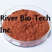Pine bark extract with 95% OPC/ oligomeric proanthocyanidins
