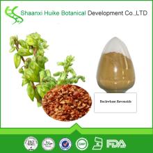 100% Natural Fagopyrum esculentum Moench Buckwheat Extract