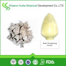 Factory Supply 100% Natural High Quality Radix Notoginseng Extract