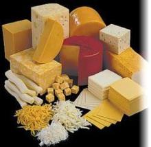 Cheese