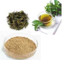  Green   Tea   Extract 