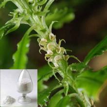 Resveratrol