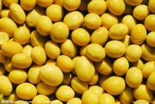 Soy Isoflavones