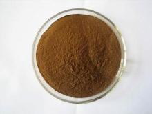 Chaste berry extract