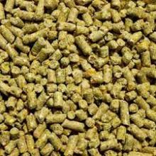 Chicken Layer Feed Feed for Sale