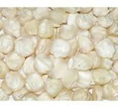 White Corn for Human consumption