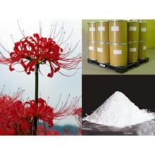High Quality Lycoris Ratiata Extract, Galanthamine Hydrobromide