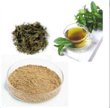 High Quality Green  Tea   Extract  Powder,  EGCG 