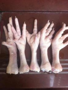 Processed  Frozen   Chicken   Feet   Grade  A 35-45/ piece