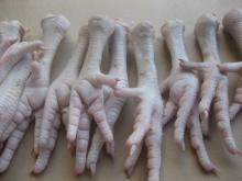 Grade A Frozen Chicken Feet