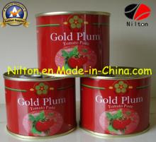 High Quality Canned Tomato Paste 18/20%. 22/24%, 28/30%