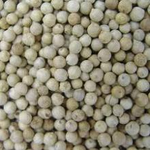 White Pepper seeds